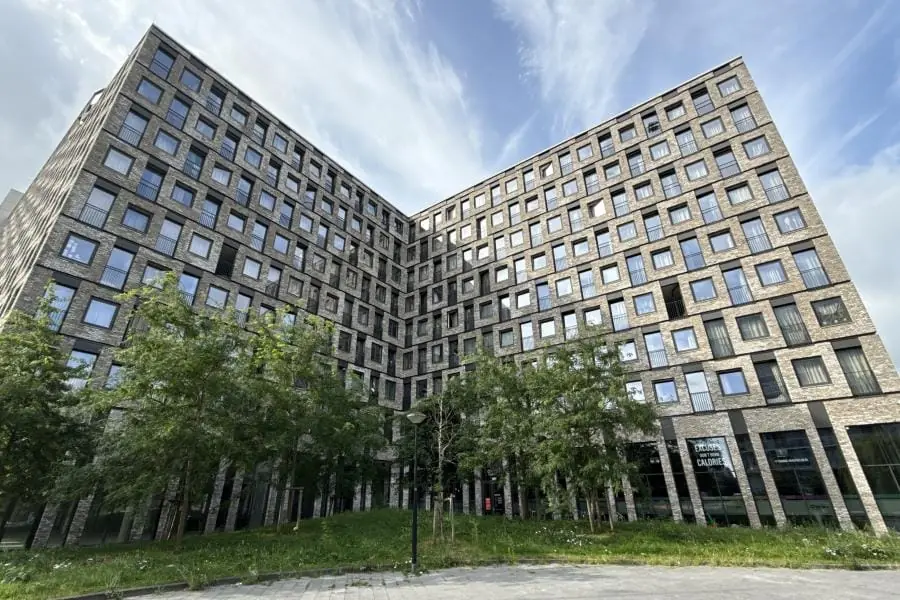 Image 2 of 20