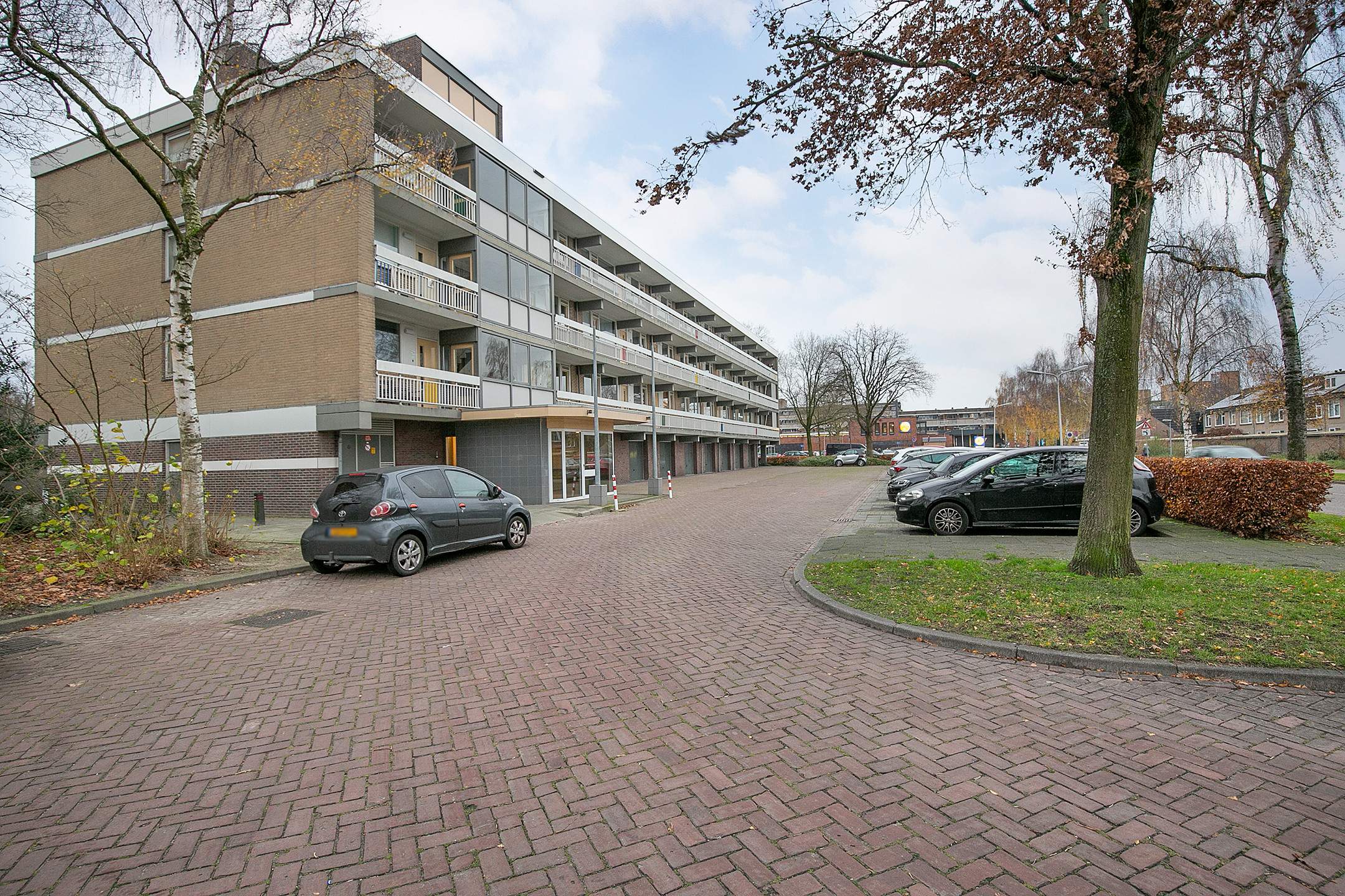 Afbeelding 1 van 21