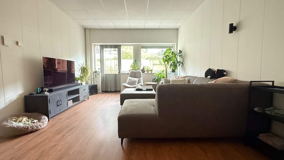 Bild 2 von 20