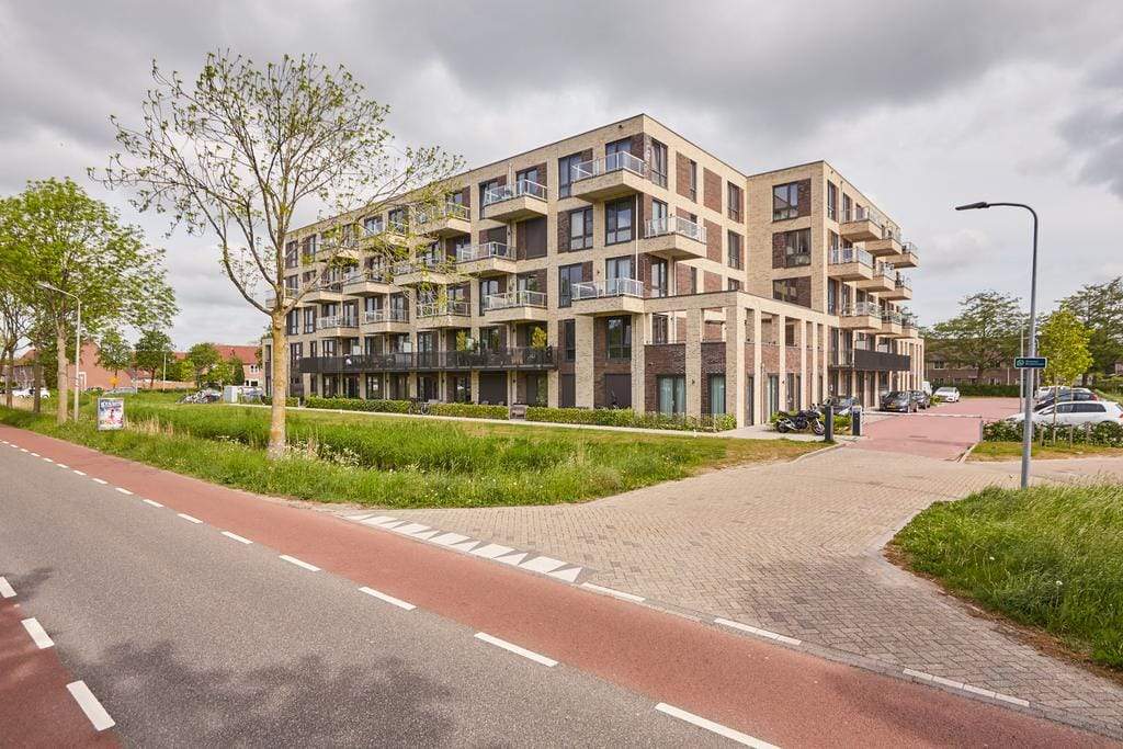 Afbeelding 6 van 46