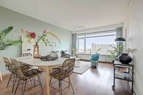 Gemeubileerd appartement Hendrik Tollensstraat, Delft - Te huur