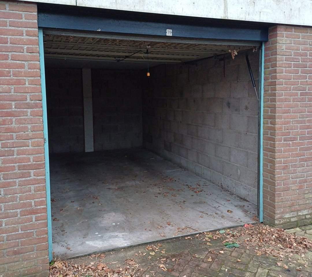 Afbeelding 1 van 1