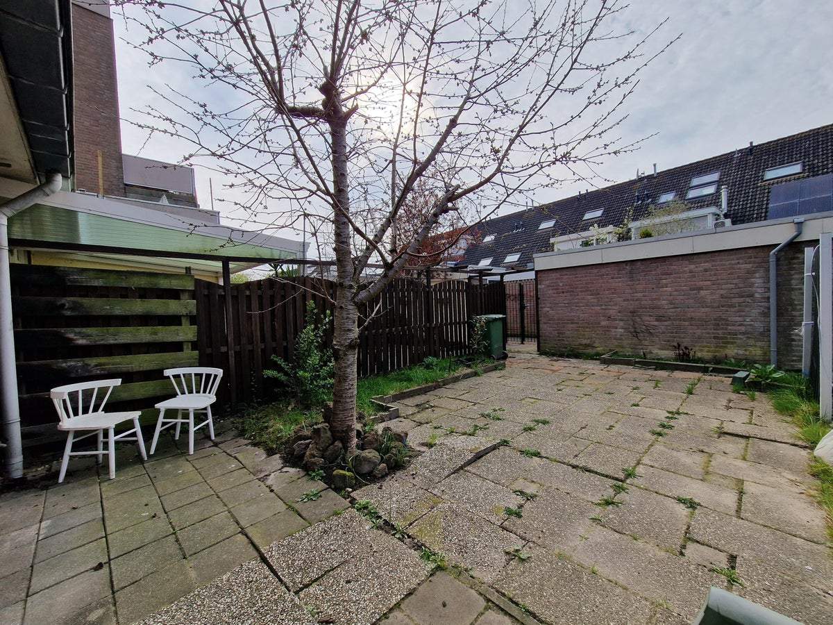 Image 11 of 26