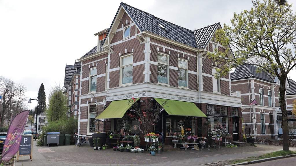 Afbeelding 1 van 20