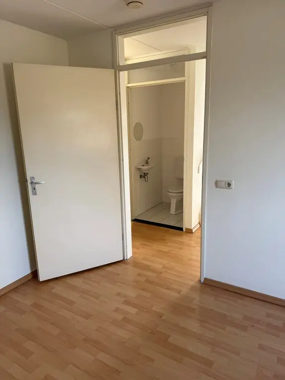 Image 11 of 24