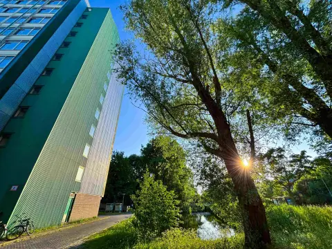 Habitación Van Hasseltlaan 575, Delft - En alquiler