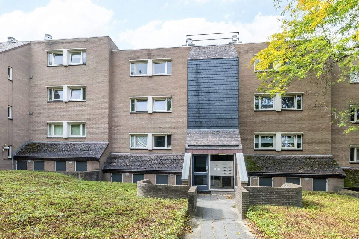Image 1 of 25