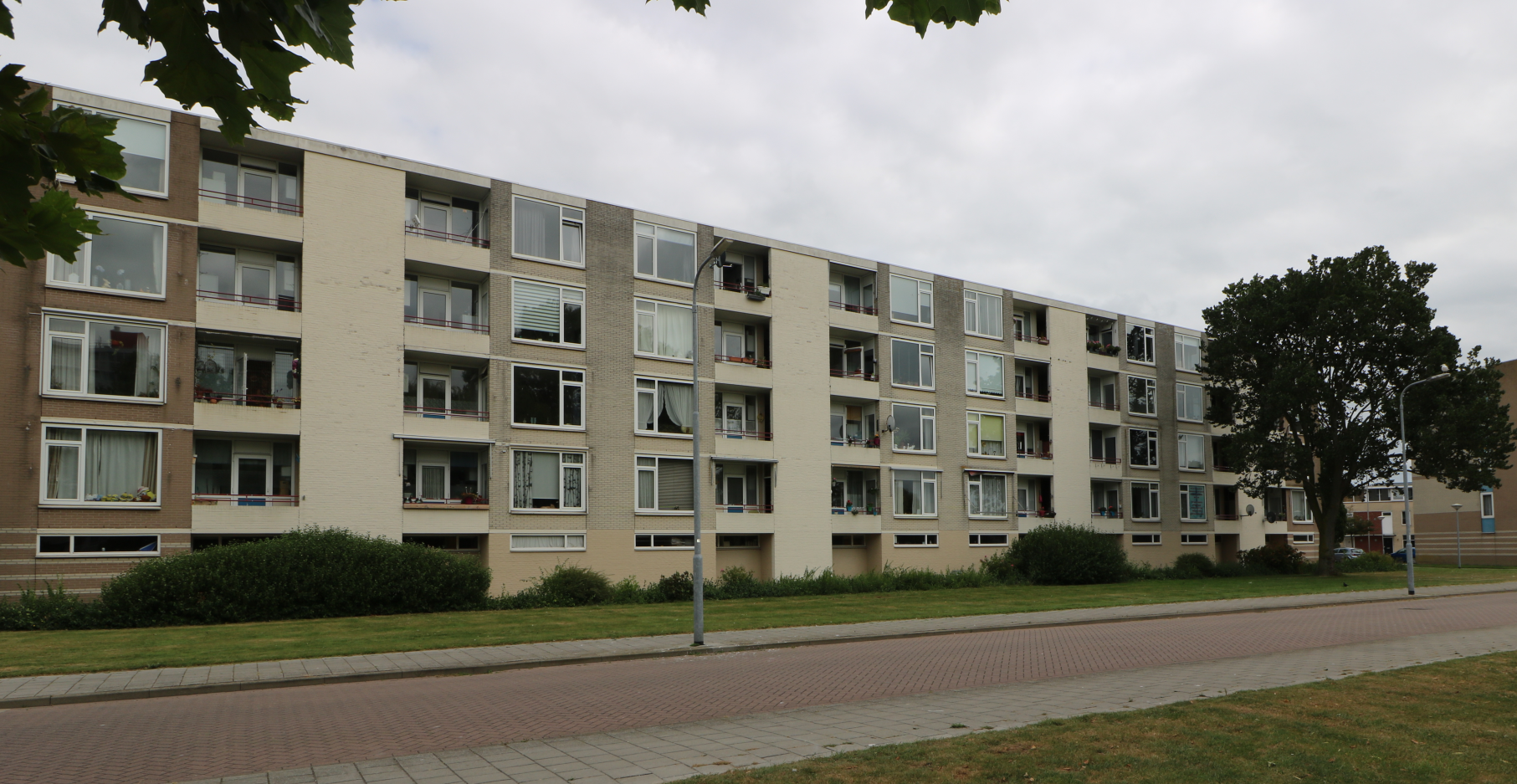 Afbeelding 1 van 1