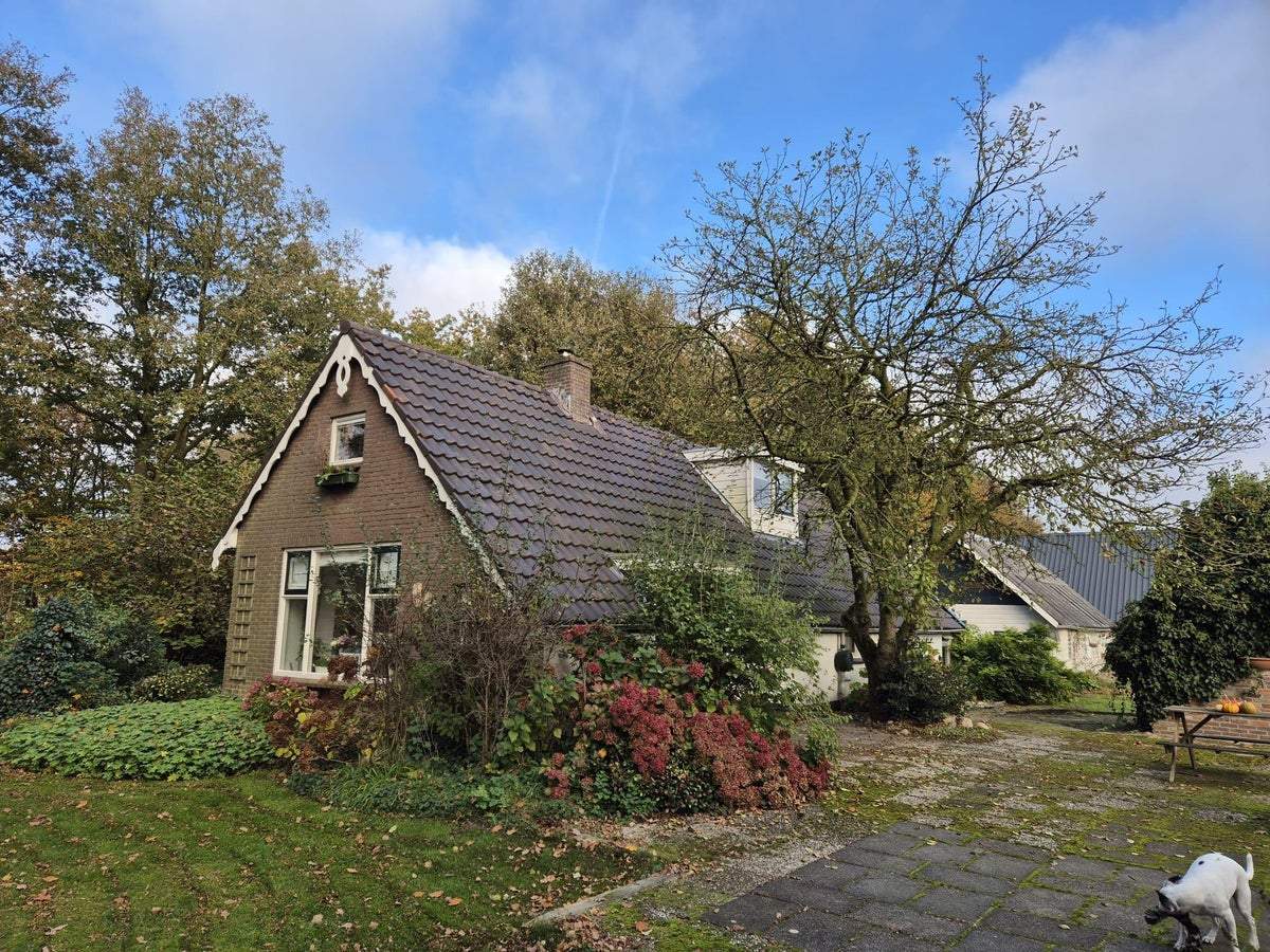 Afbeelding 1 van 23
