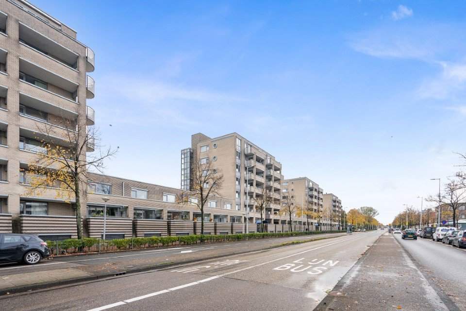Afbeelding 1 van 6