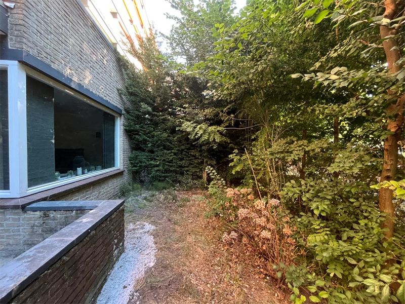 Bild 3 von 14