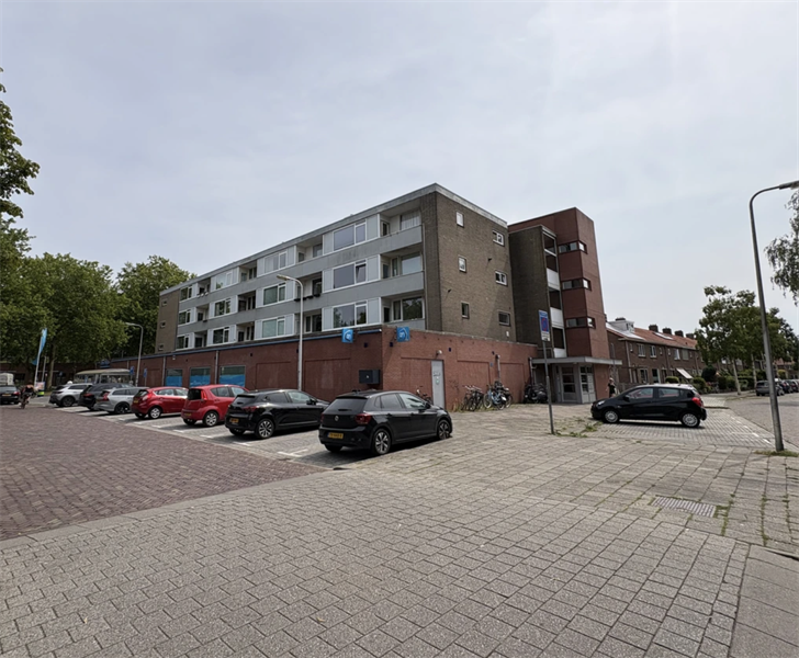 Afbeelding 8 van 8