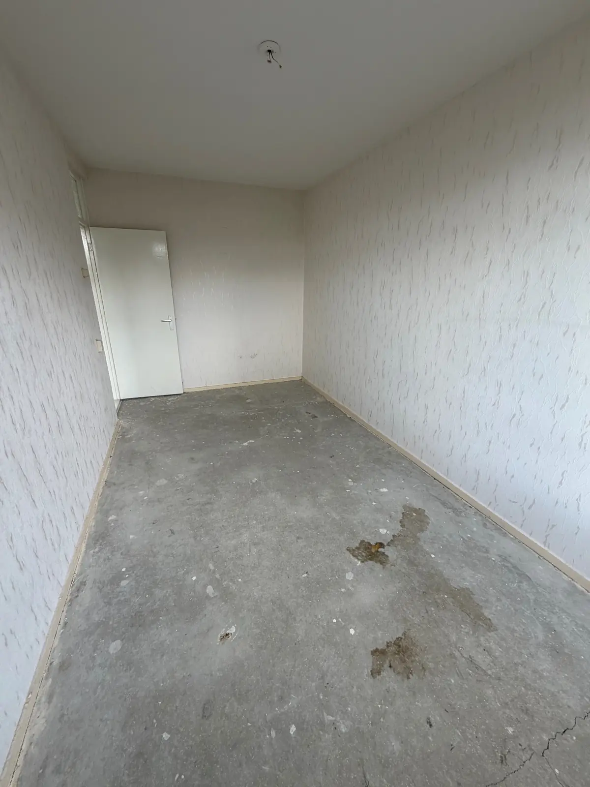 Bild 8 von 13