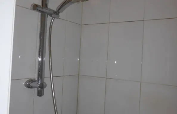 Image 3 of 7