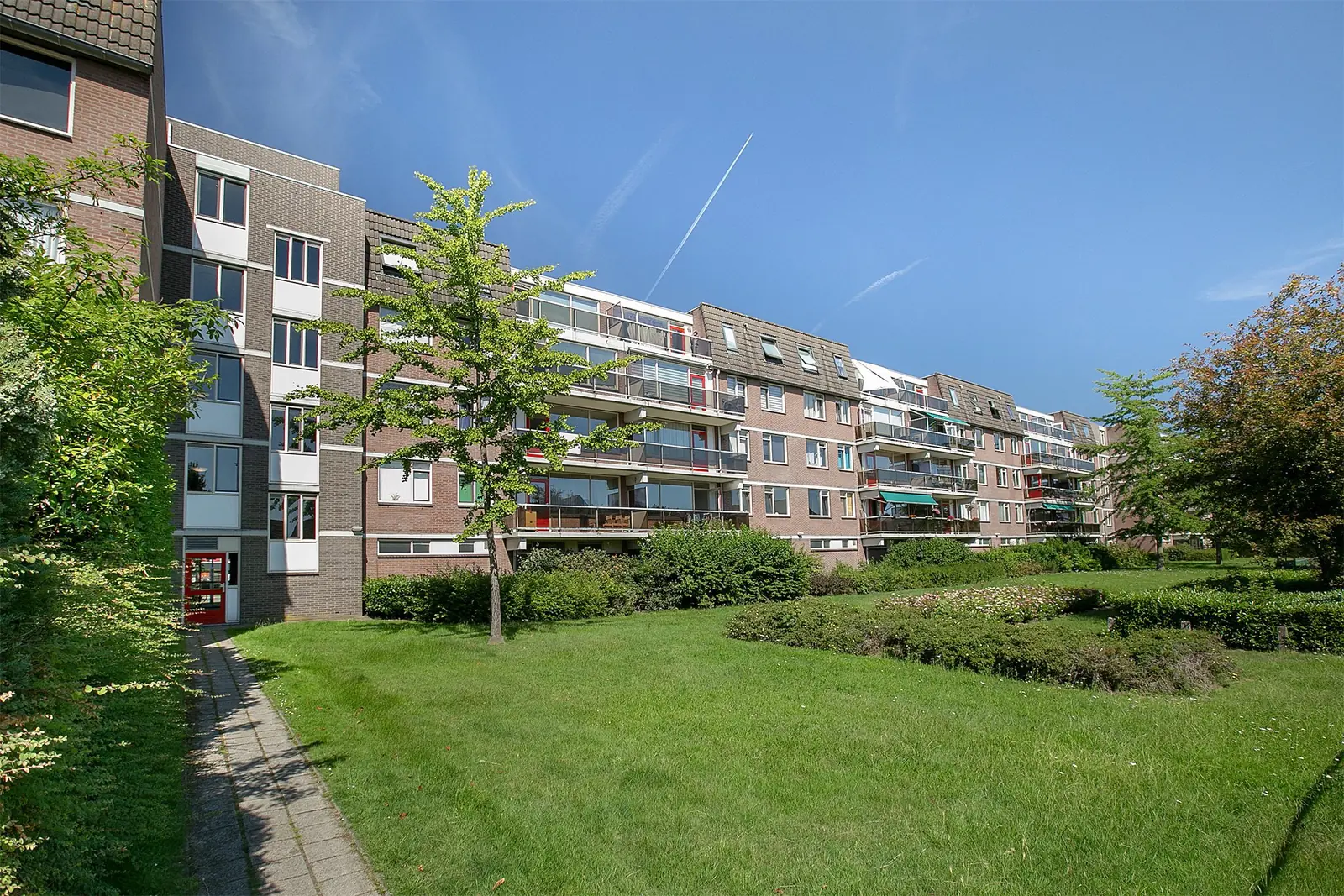 Afbeelding 9 van 11
