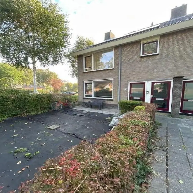 Afbeelding 1 van 3