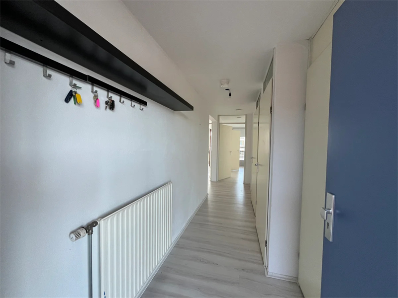 Image 6 sur 11