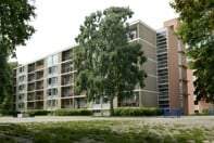 Afbeelding 3 van 6