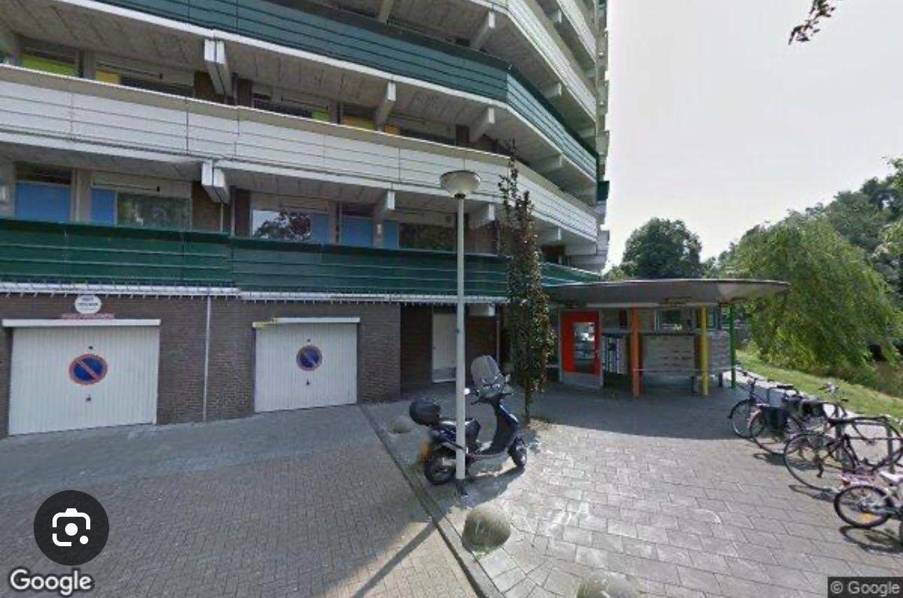 Afbeelding 3 van 3