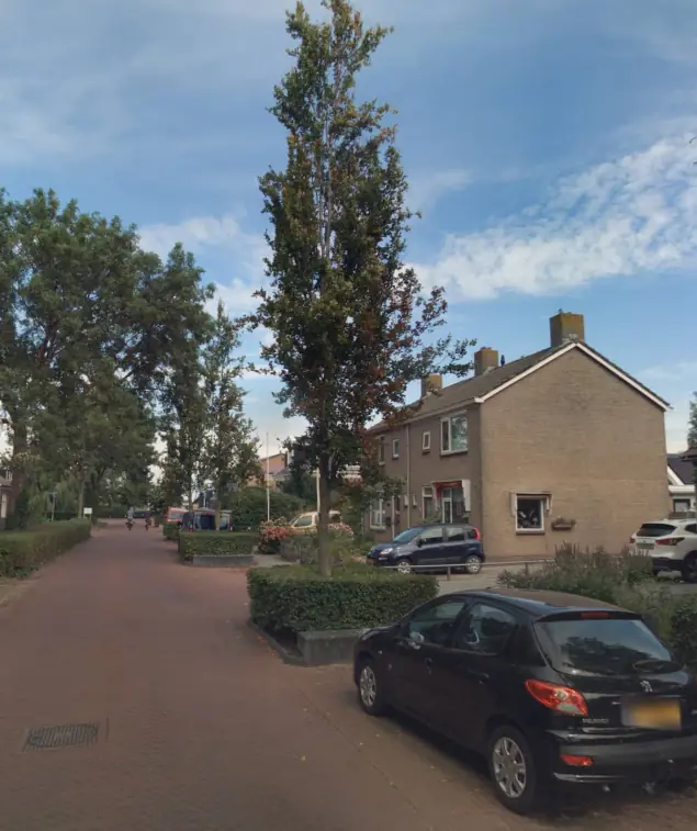 Afbeelding 2 van 2