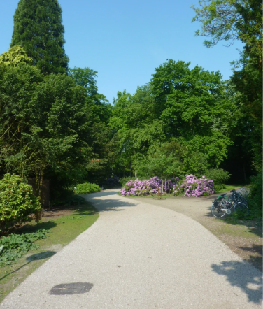 Image 1 of 12