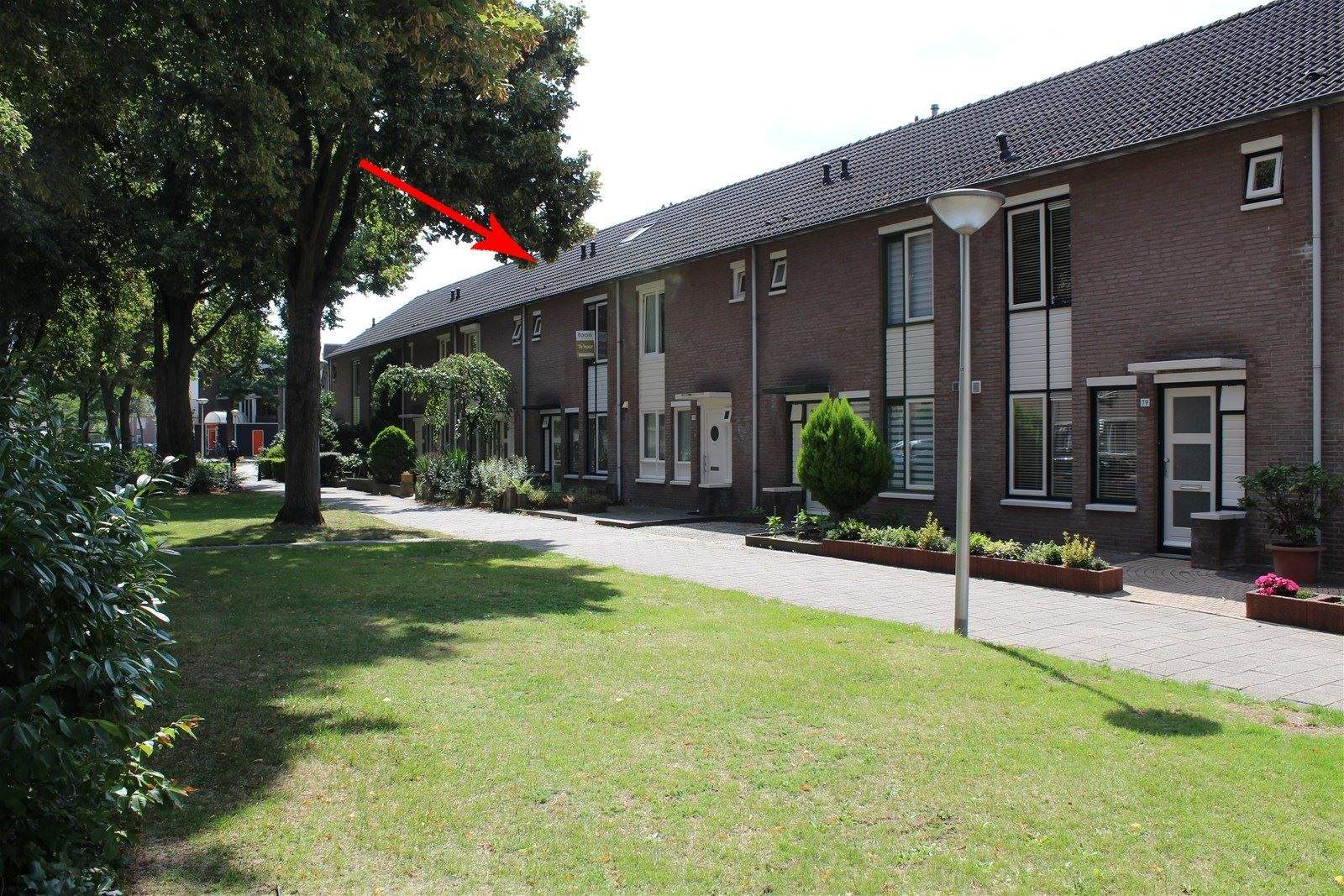 Afbeelding 18 van 18