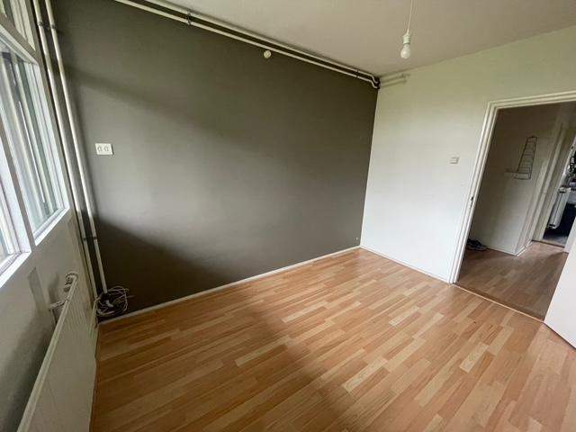 Bild 2 von 5