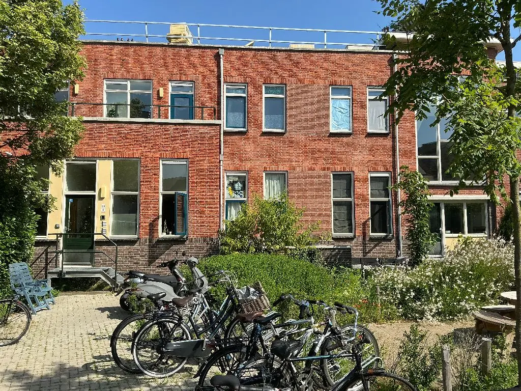 Afbeelding 1 van 1