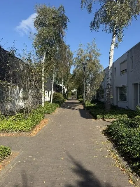 Bild 32 von 33