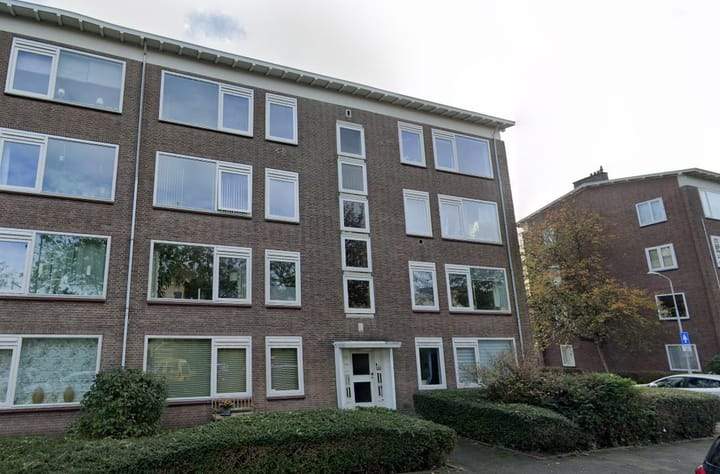 Afbeelding 1 van 14