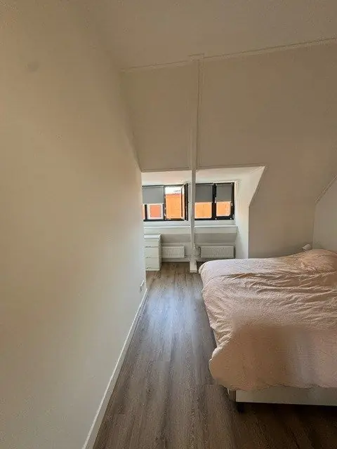 Image 16 of 25