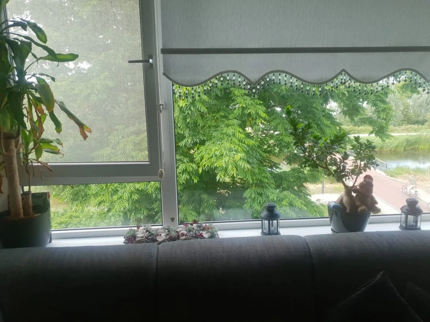 Image 6 of 6