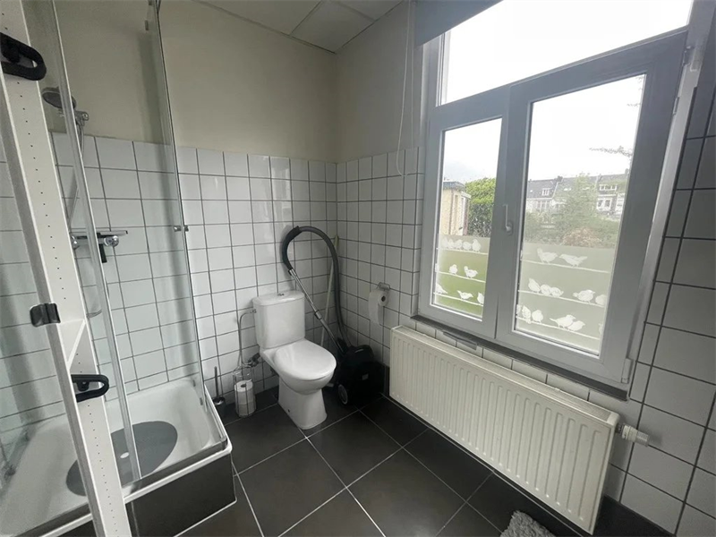 Bild 12 von 12