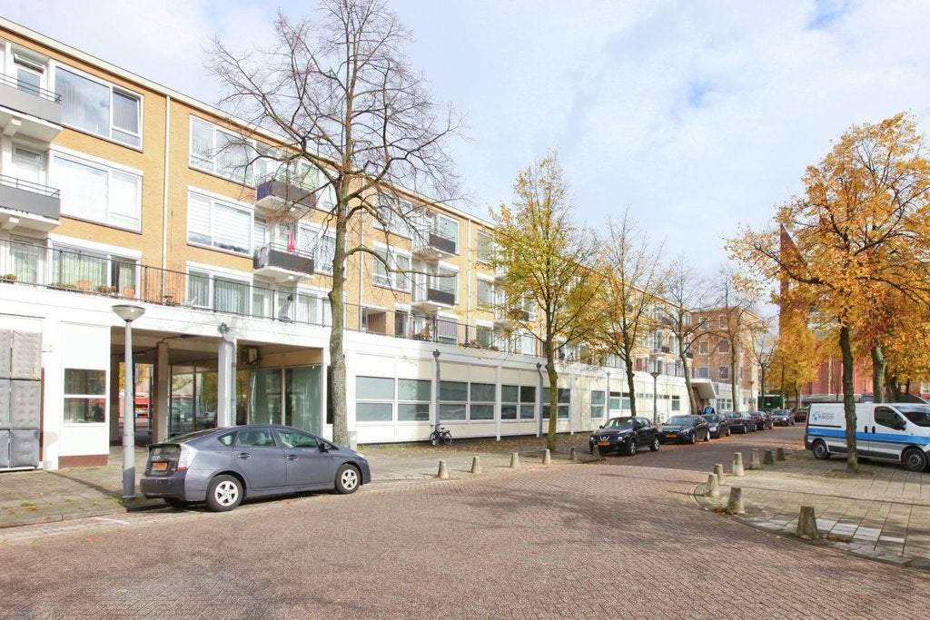 Afbeelding 1 van 17