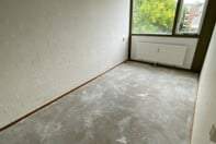 Afbeelding 3 van 8