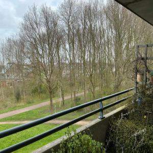 Bild 3 von 9