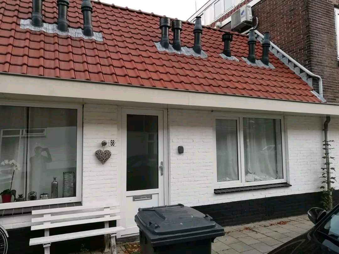 Afbeelding 2 van 3