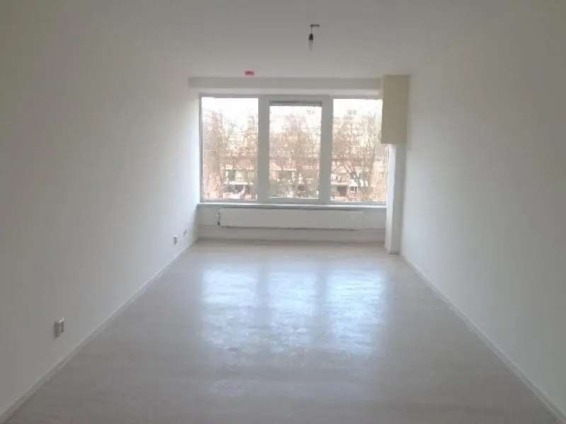 Image 3 of 12