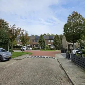 Afbeelding 8 van 8