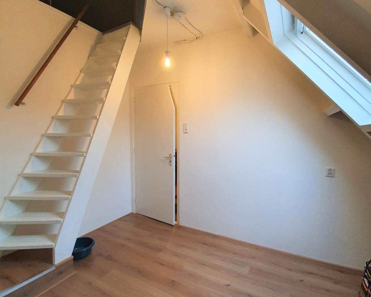 Bild 3 von 10