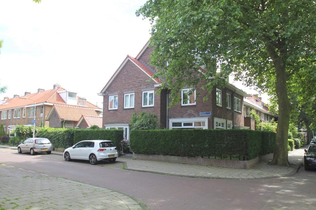 Afbeelding 1 van 12