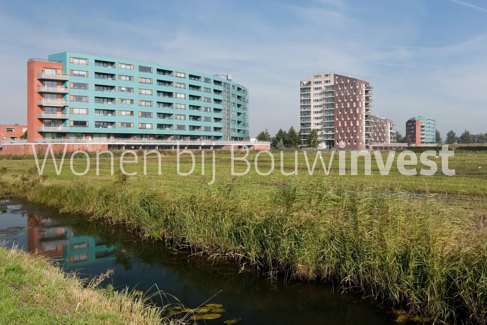 Bild 4 von 8