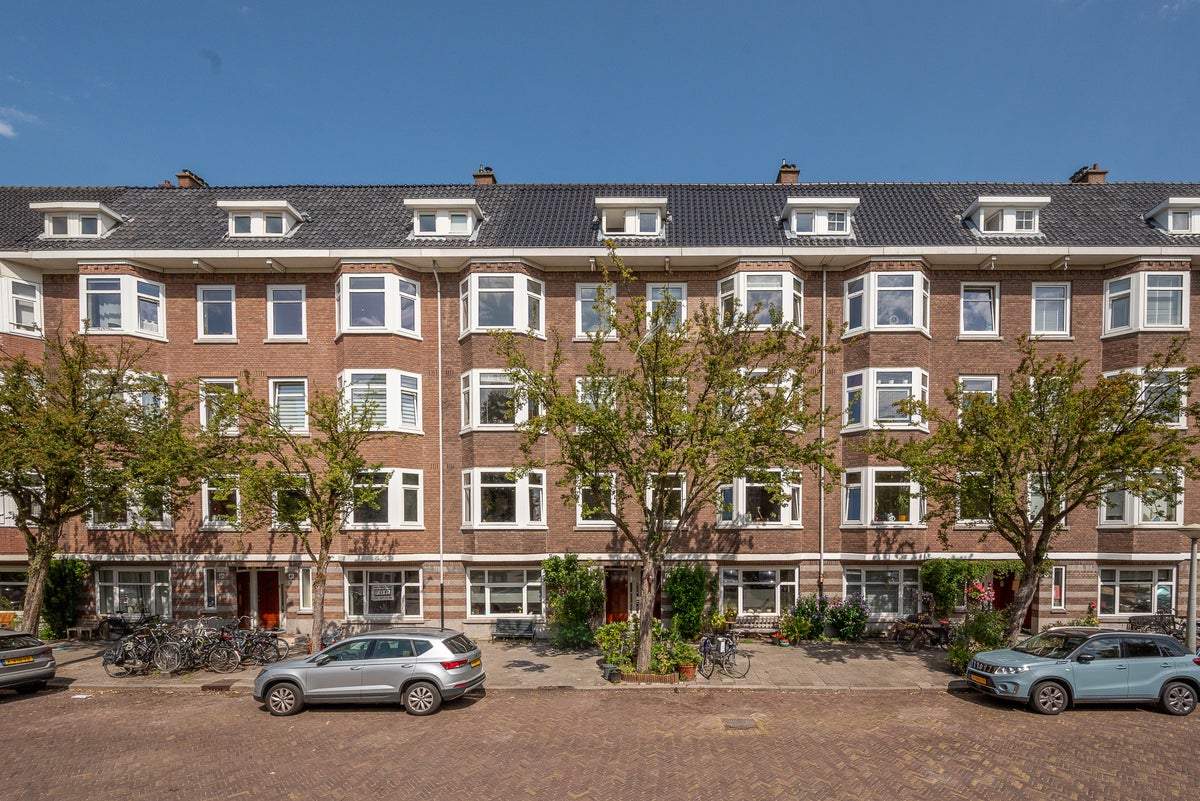 Afbeelding 1 van 24