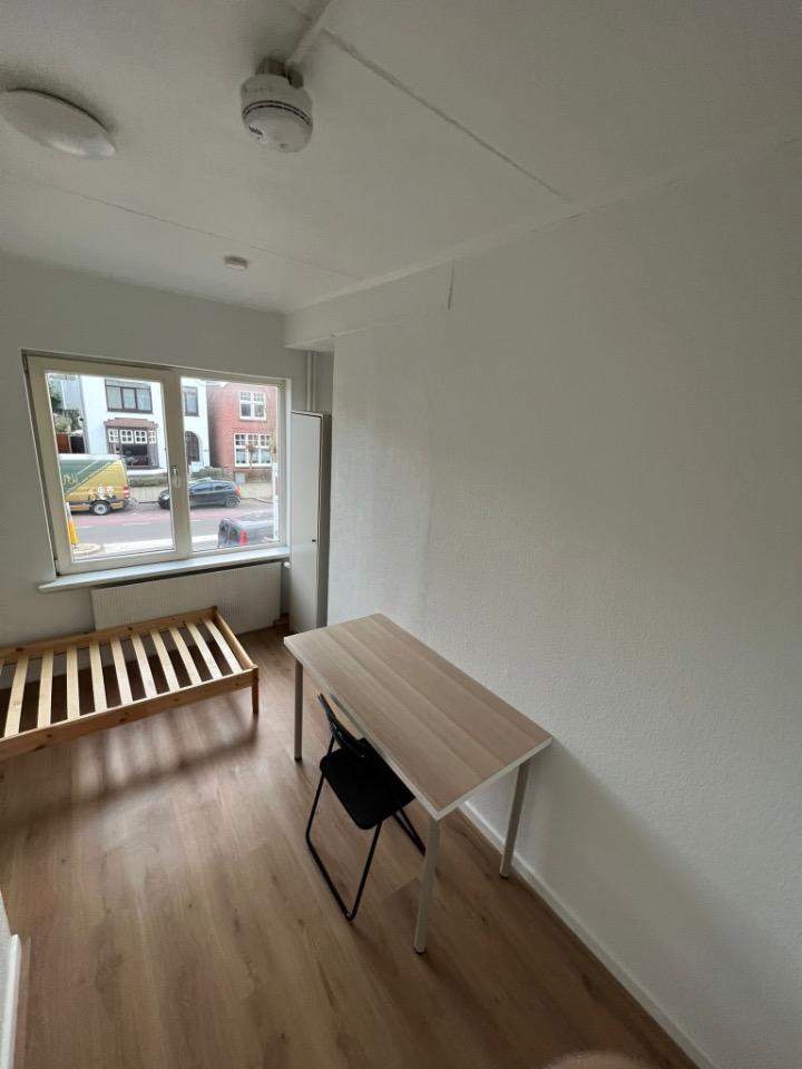 Afbeelding 1 van 8