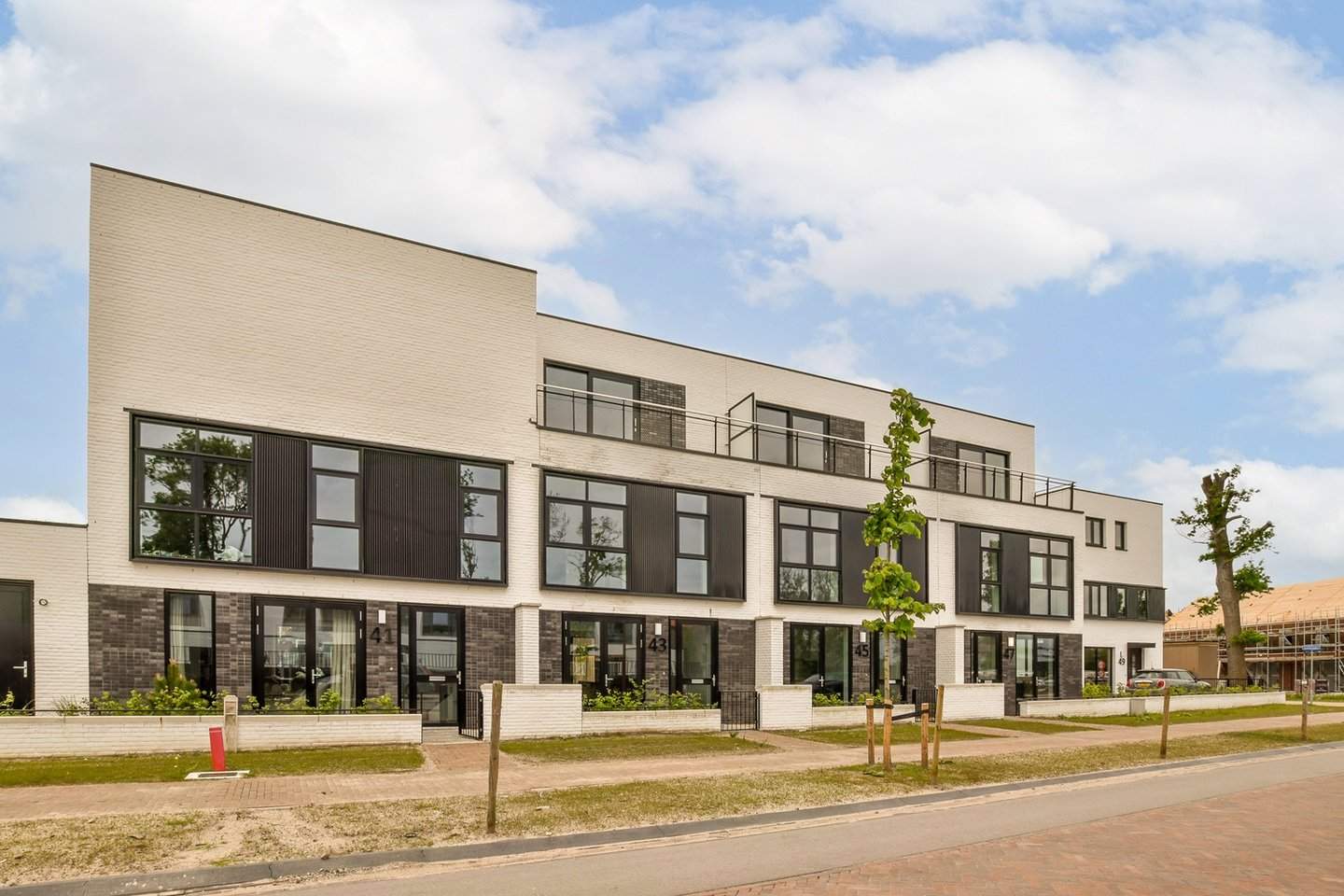 Afbeelding 1 van 12
