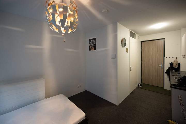 Image 6 of 8
