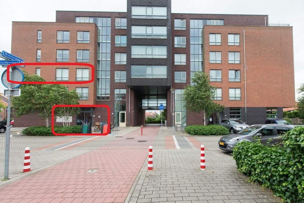 Bild 1 von 13
