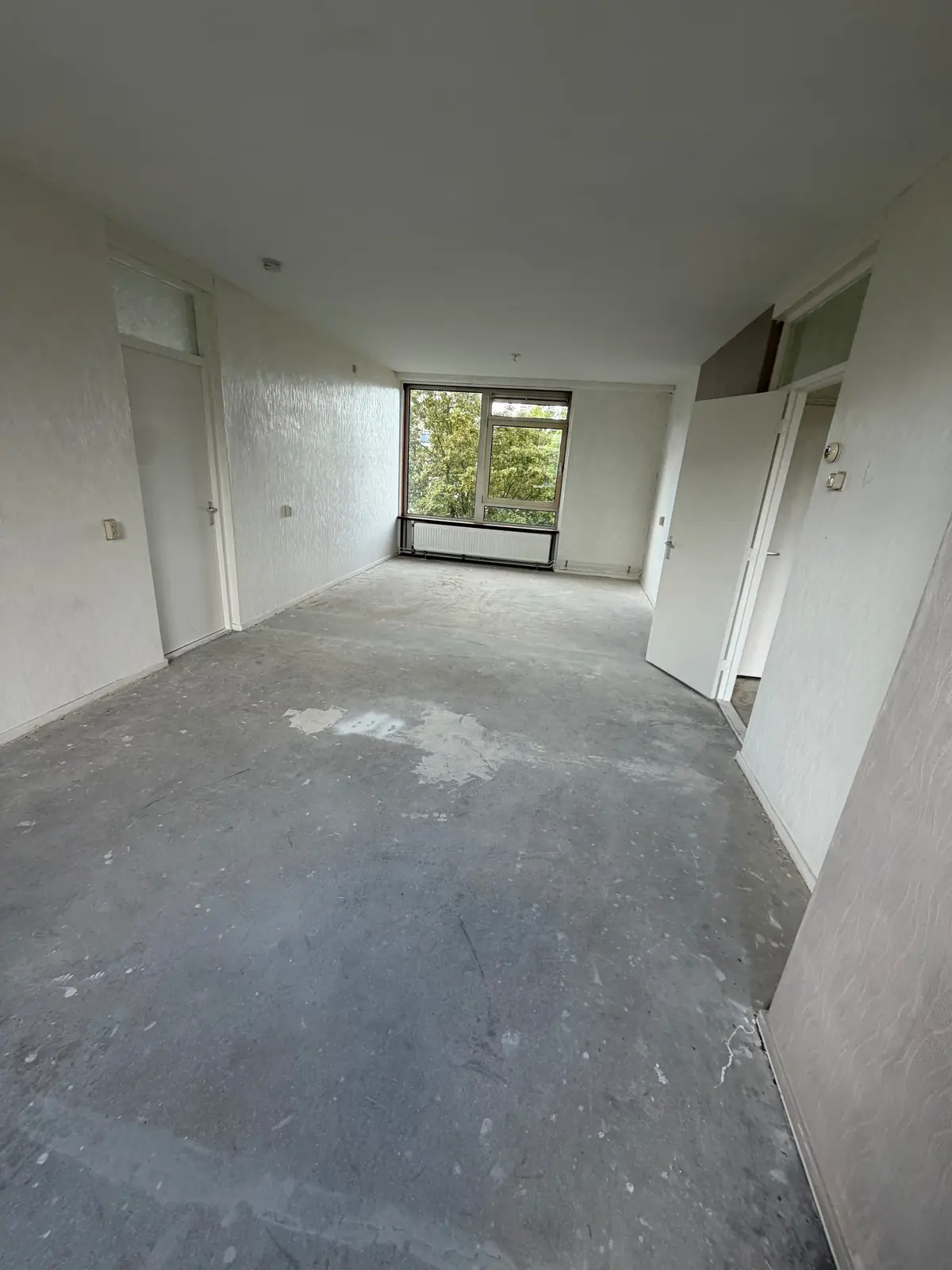Bild 6 von 13