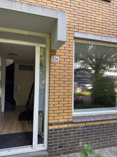 Afbeelding 2 van 12