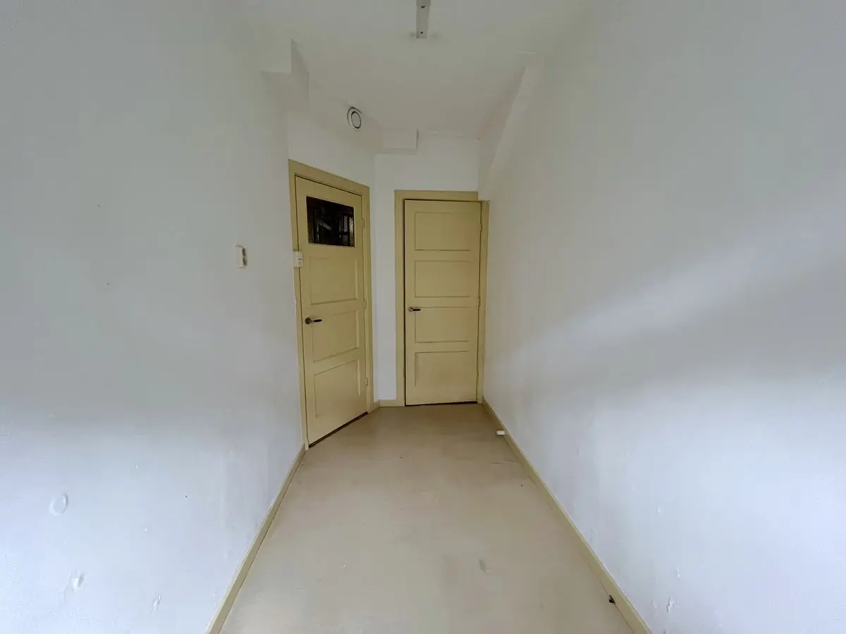 Image 8 of 14
